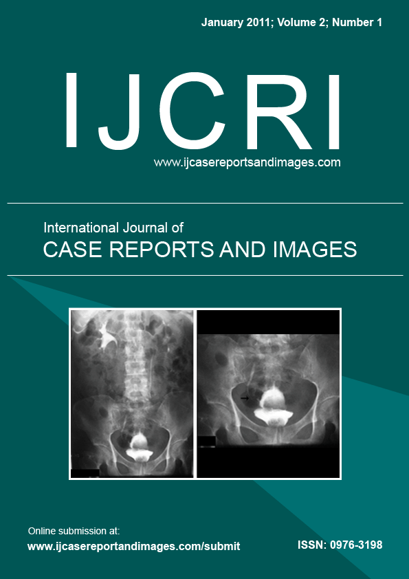 January 2011 - cover page